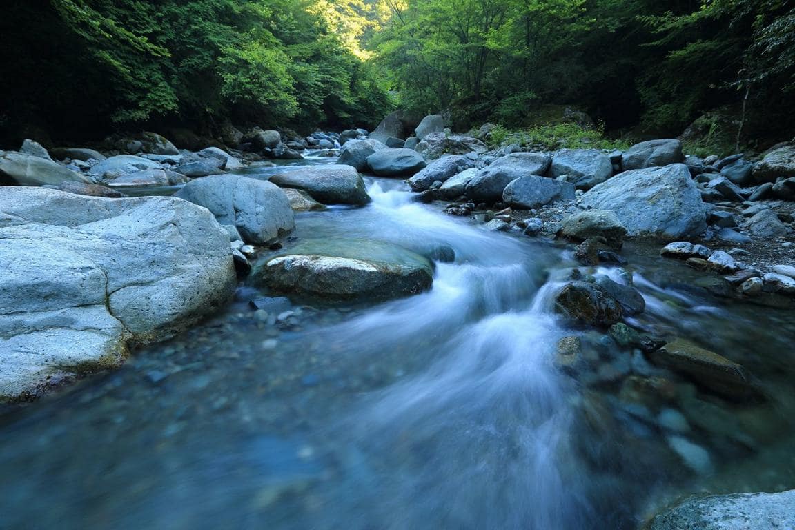 Fluss des Lebens